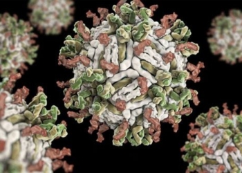 mysterious disease causing dozens of children in india to die 115794