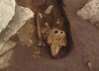 mysterious motorcycle with two pork columns in england 117827