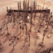mystery of 4 000 year old completely preserved mummies on the desert in china 116801
