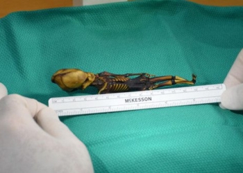 mystery of alien skeletons unveiled 91493