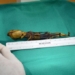 mystery of alien skeletons unveiled 91493