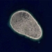 mystery of the strange fingerprint in the ocean 117650