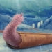 mystery of the worm species that once lived in the void of space 117228