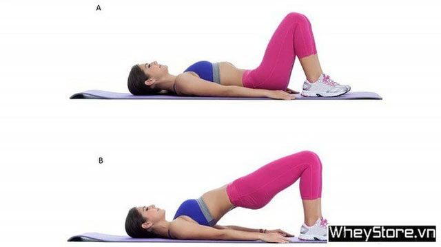 Glute Bridge Exercise