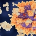 new discovery about f0 immune response in disease 116311