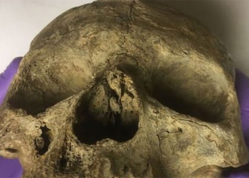new discovery shocks about 10 000 year old eve in england 116947