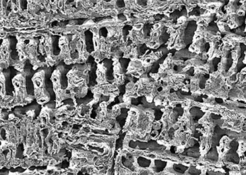 new experiment shows foam reduces bacteria rapidly by 120 times 117797