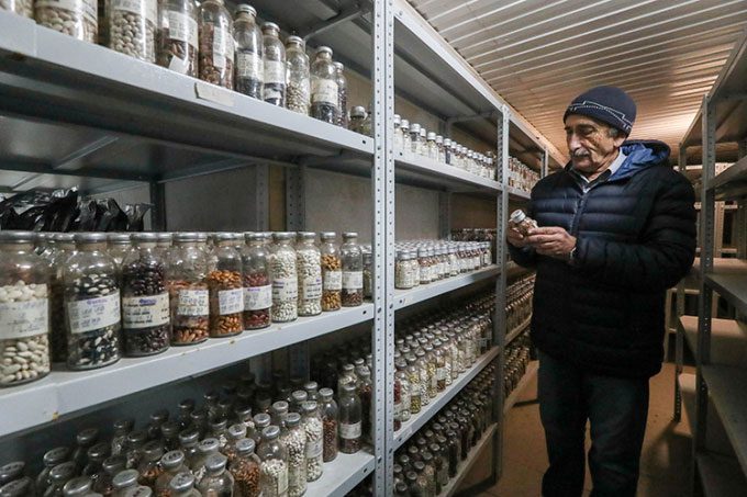 Inside the seed storage facility beneath the permafrost in Yakutia.
