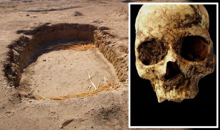  Discovery of a "unique" cemetery from prehistoric Egypt. 
