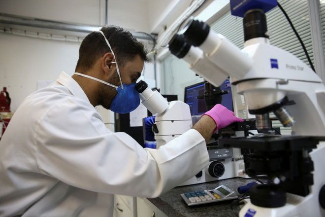 Scientists can synthesize the molecule found in jararacussu snake venom