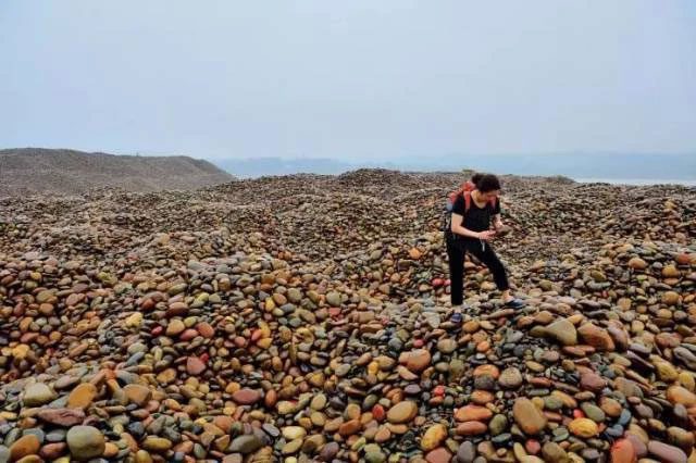 People searching for gems on the pebble beach by the Yangtze River.