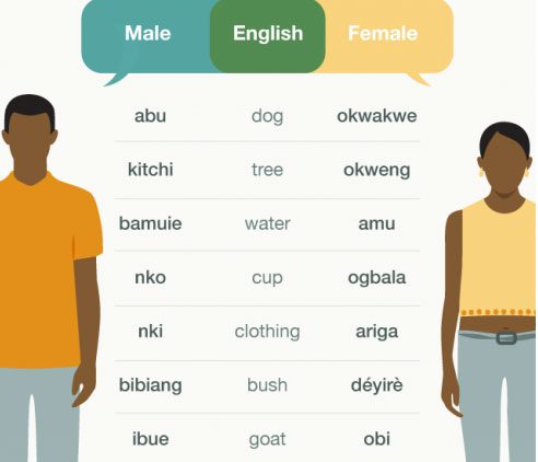 The differences between male and female languages in Ubang.