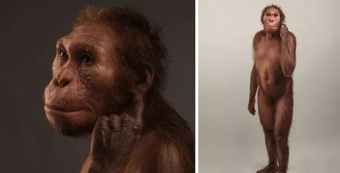 A graphic simulation of the portrait of Issa