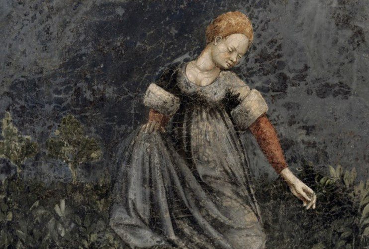 Medieval people used moss, leather, and fabric as toilet paper.