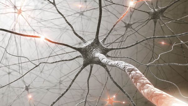 A neuron in the human brain is much more complex than a node in deep neural networks of deep learning systems