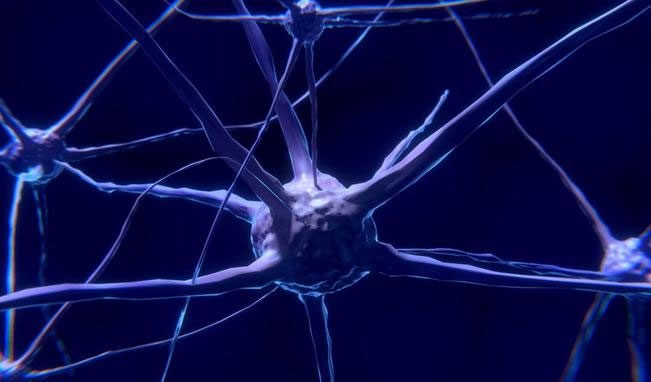 The packaging of neurotransmitters into synaptic vesicles is a process that always has leakage.