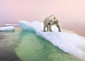 north cold raises risk of nuclear virus contamination 116462