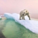 north cold raises risk of nuclear virus contamination 116462