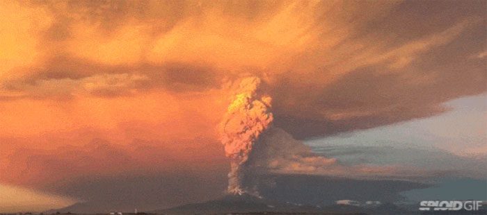 The sudden increase in CO2 levels in the atmosphere appears to be a cause of the Great Dying.