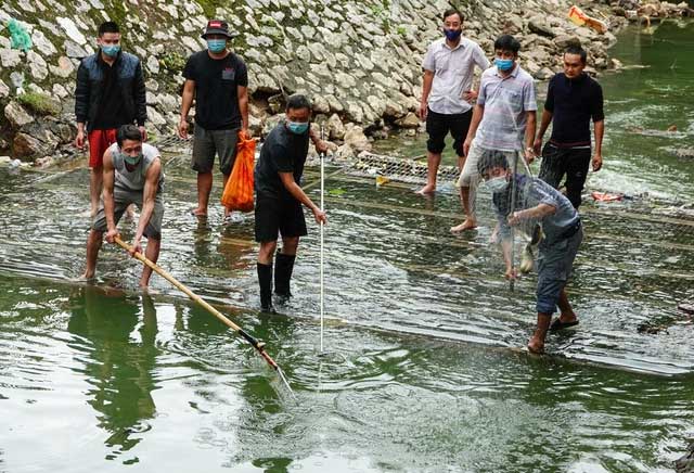 In just one morning, some people caught a significant amount of fish.