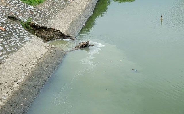 By the afternoon, the river water began to turn murky and black due to wastewater from the drains.