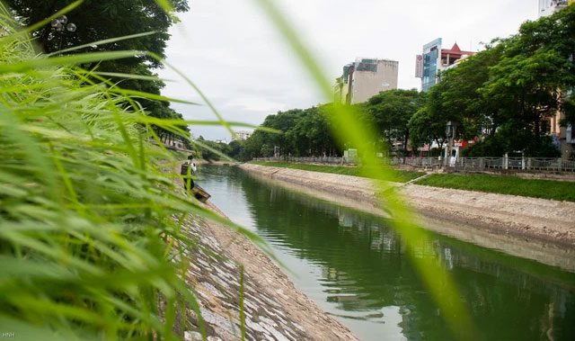 The Tô Lịch River is now a vibrant green without any foul smell.