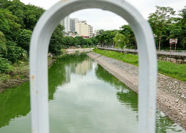 The beautiful vivid green color on the Tô Lịch River.
