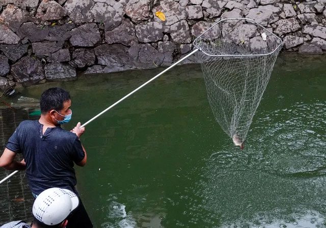 On the morning of October 13, many people took the opportunity to fish near the beginning of Hoàng Quốc Việt Street.