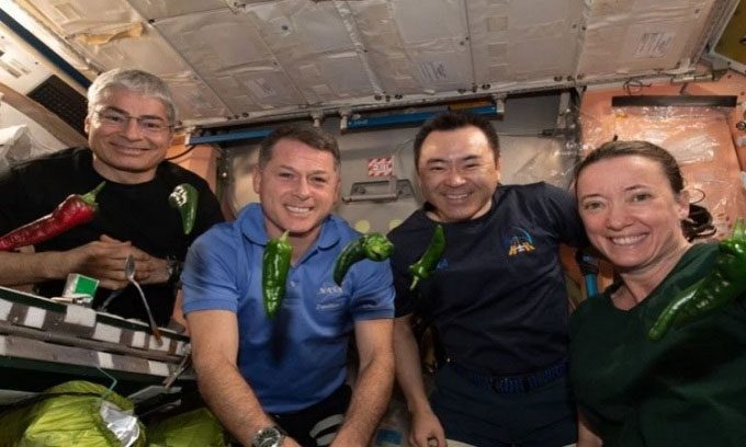 ISS crew and the peppers grown on board.