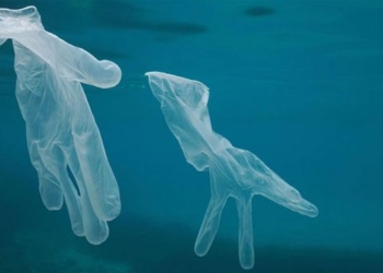 pandemic causes 25900 tons of waste for oceans 117032
