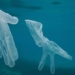 pandemic causes 25900 tons of waste for oceans 117032