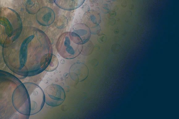 Professor Sara Seager asserts: Ammonia should not be on Venus