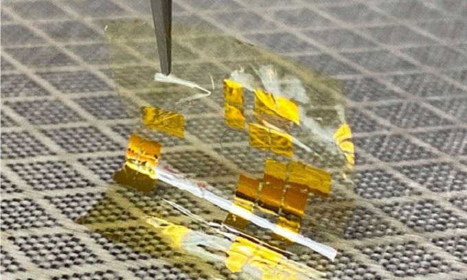 Prototype solar cell using material developed by researchers from TMD