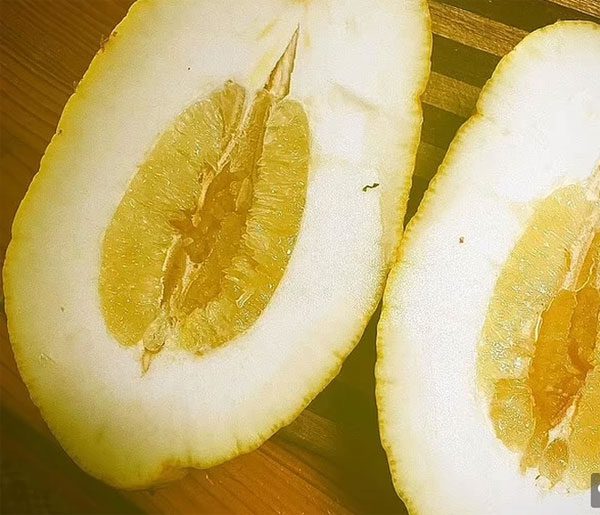 The inside of the lemon when cut in half