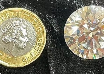 rare diamond valued at 2 7 million thrown in trash by owner mistaking it for junk 116818