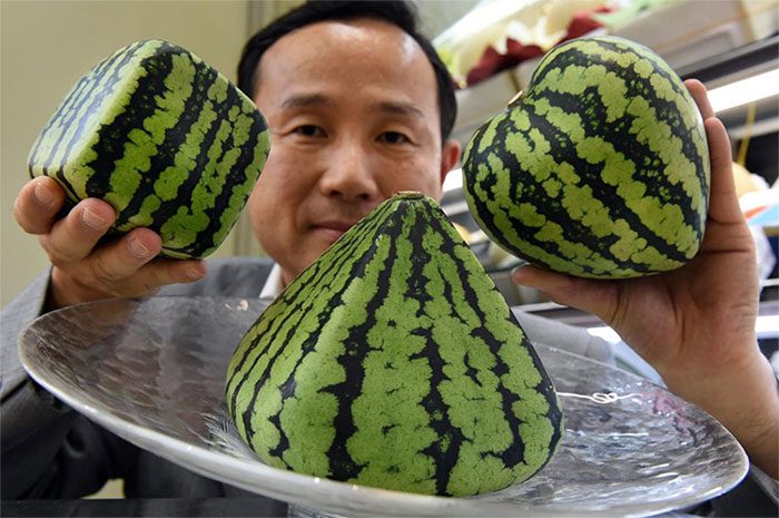 A completely new shape of fruit and vegetables that may come with an unpleasant taste.