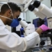 research new brazilian snake venom has the potential to neutralize sars cov 2 115716