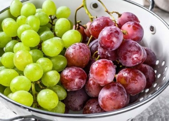research new small portion in food help increase intestinal profit reduce blood cholesterol level 117210
