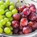 research new small portion in food help increase intestinal profit reduce blood cholesterol level 117210