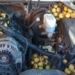 rich soc 158 kg inside car turned into pickled vegetables 116343