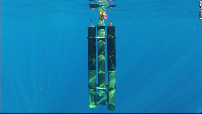 Seatrec's vessels utilize the temperature changes of the ocean to generate operational energy