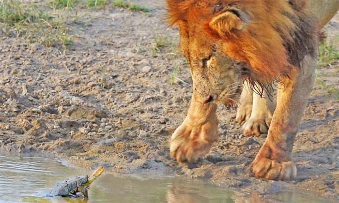 The stranger drinks water without permission.