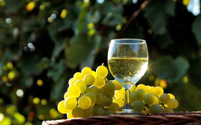 The taste of wine may be very different in the future due to grapes being contaminated with smoke from wildfires.