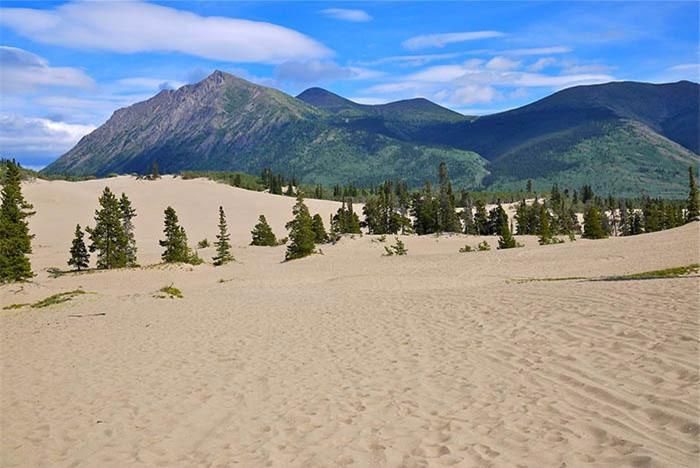 Many strange phenomena can be found in this small desert.