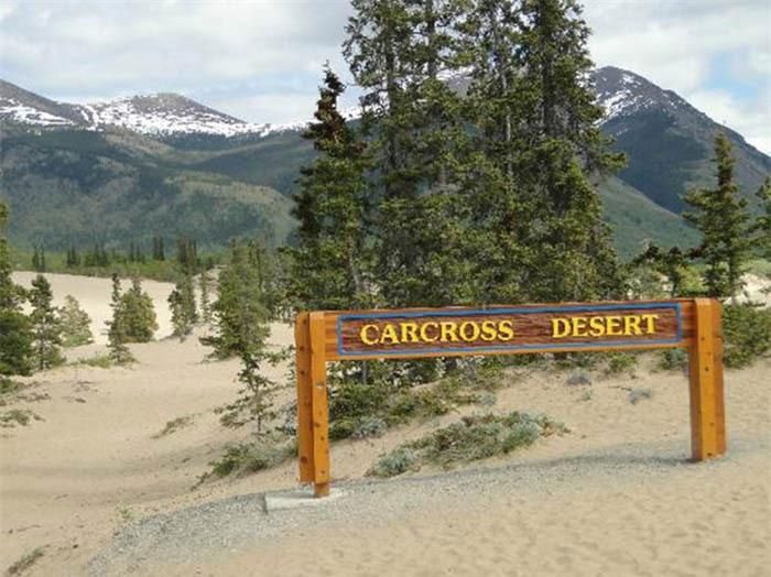 Carcross Small Desert