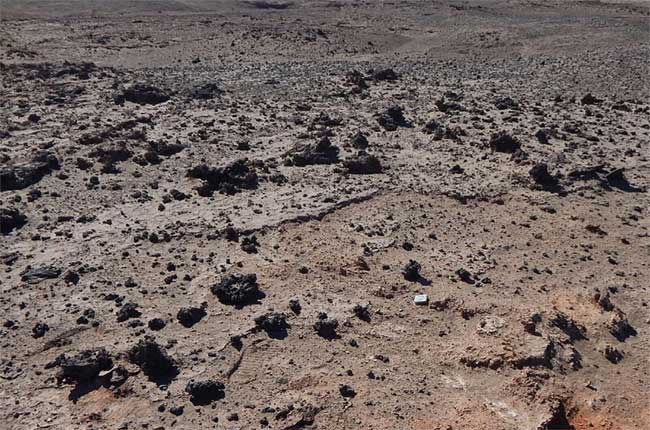 sa mac atacama