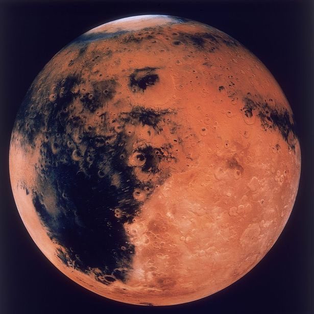 Levin believes he found life on Mars.
