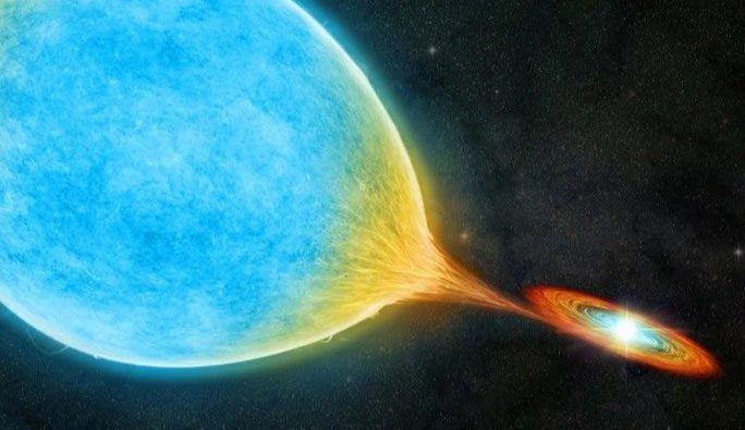 White dwarfs in binary star systems may be vampires