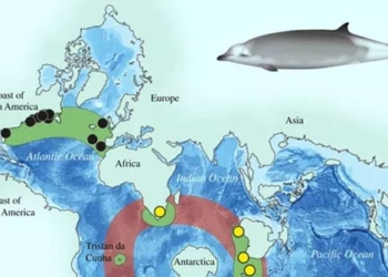 scientific monsters you never knew existed around the world 116815