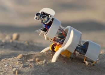 scientists develop automatic seed sowing robots on sandy soil 117170